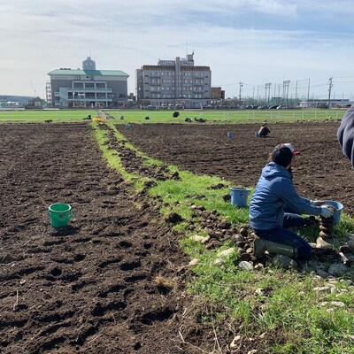 服部農園さんによる『石拾いイベント』