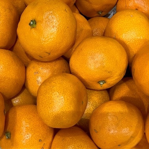 みんなみの里　新年初売り「果物詰め放題」