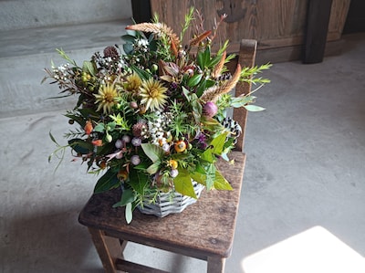 【9月13日】秋の草木花
