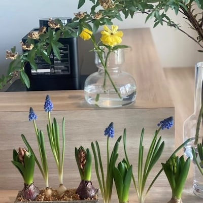 【2/21（土）】無印 de PECHKA　季節の草花　