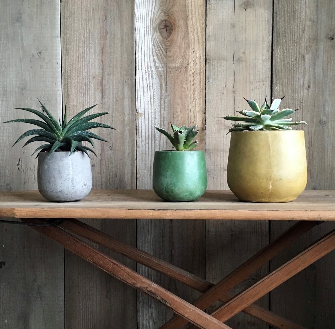 【新潟白根】つながる市開催