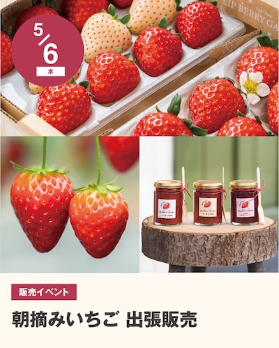 【朝摘みいちご 出張直売】