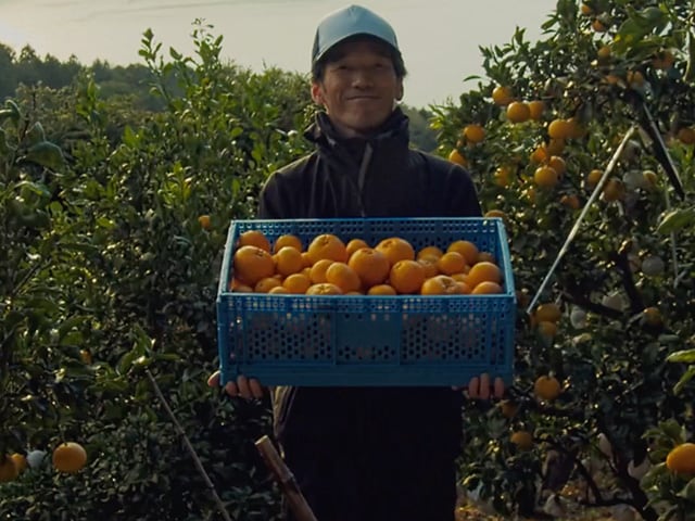 増田柑園