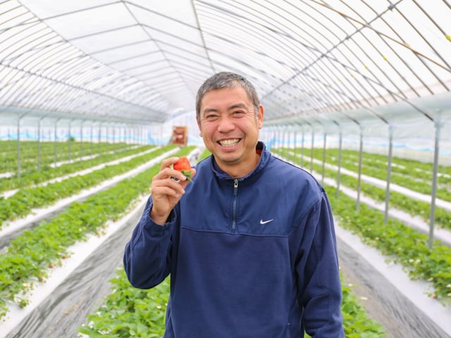 供給者画像：生産者名　いとう農園