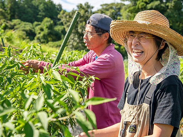 南阿蘇手づくり農園菜の風