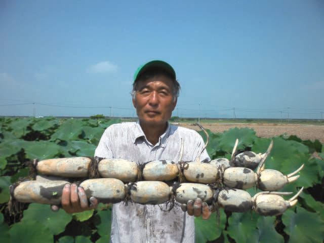 供給者画像：生産者名　小野ファーム