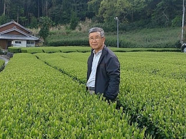 供給者画像：生産者名　有限会社茶工房・かはだ 村瀬正治郎さん