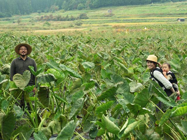 供給者画像：生産者名　森の家 佐藤春樹