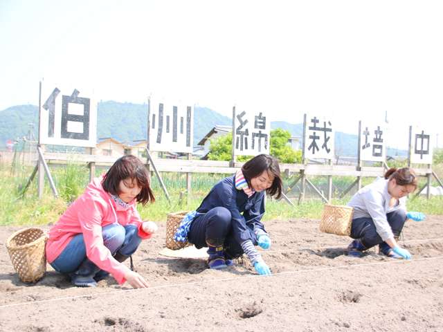 供給者画像：生産者名　一般財団法人 境港市農業公社