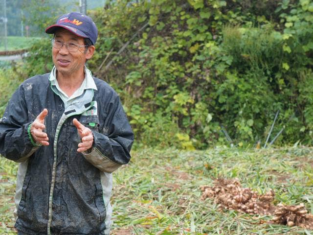 供給者画像：出荷者名上天草さんぱーる