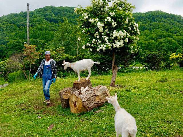 供給者画像：生産者名　北海道 Tree&Berry Village