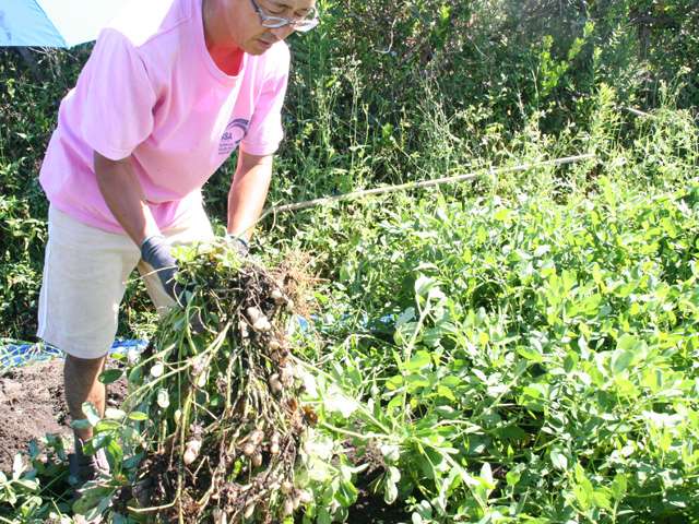 供給者画像：生産者名　田辺農園 田辺直広さん