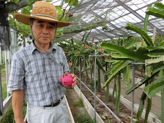 供給者画像：生産者名　フルーツファーム南房総 関口昌司さん