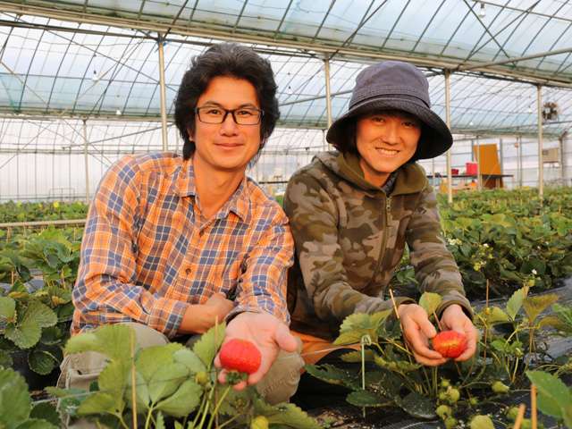 供給者画像：生産者名　やました農園