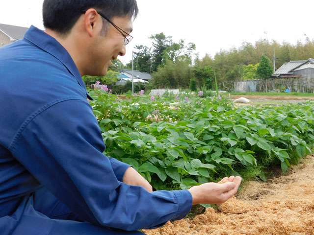 供給者画像：生産者名　内海農園 内海 文夫さん