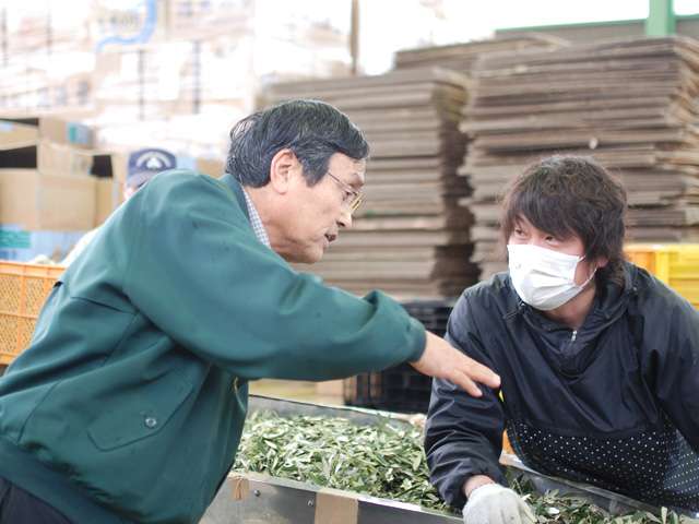 供給者画像：生産者名　「ヤマヒサ」会長・植松勝太郎さん