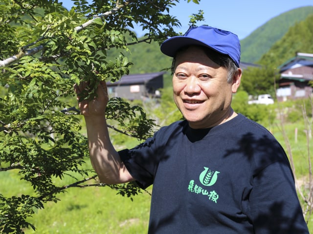 生産者画像：生産者名有限会社 飛騨山椒