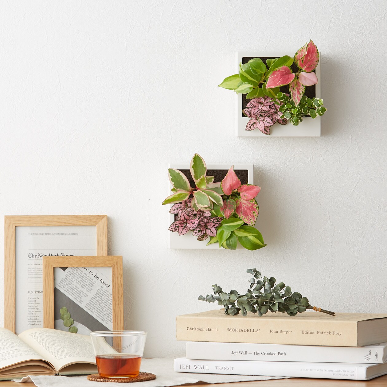 母の日の花 インテリアグリーン 通販 無印良品