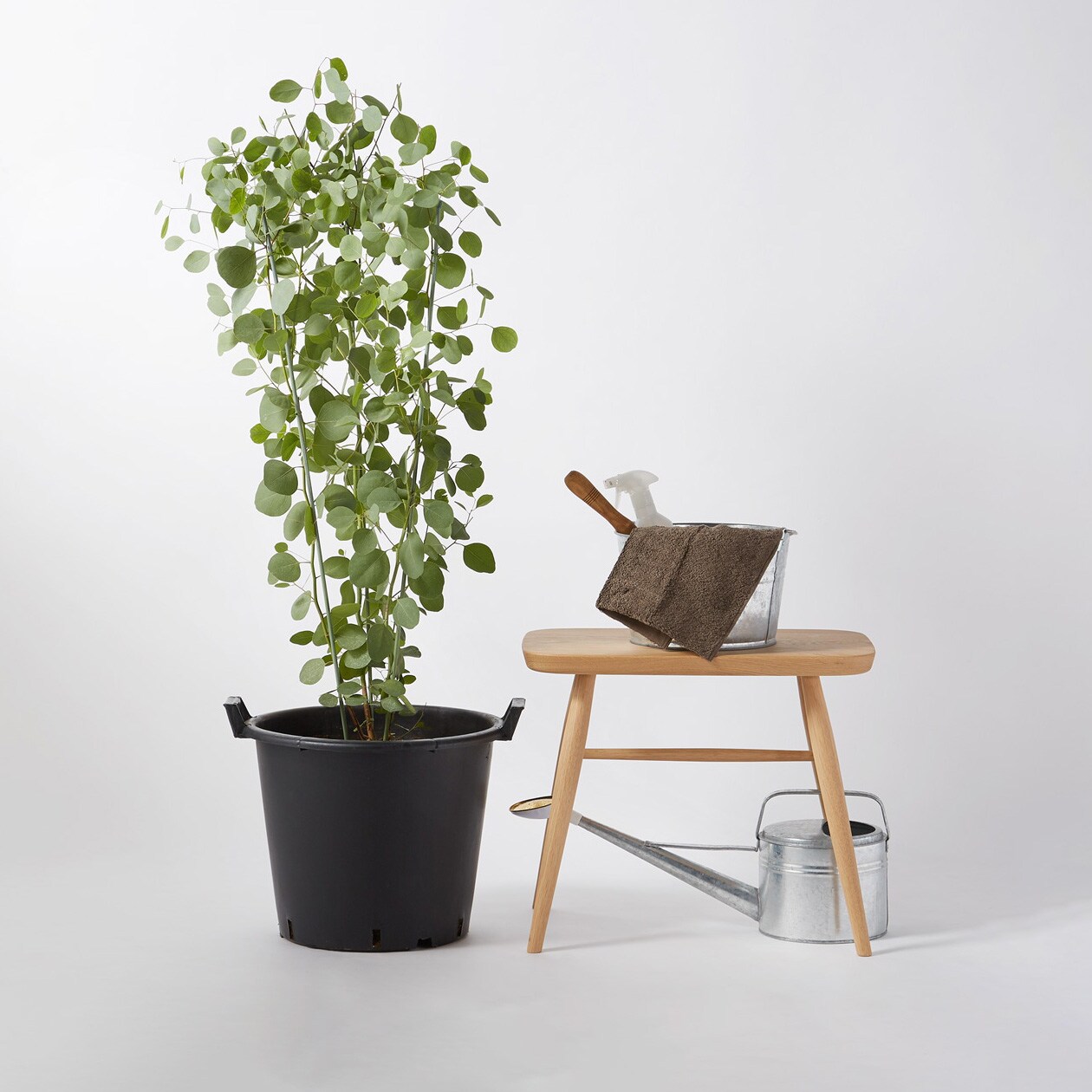 アウトドアグリーン 通販 無印良品