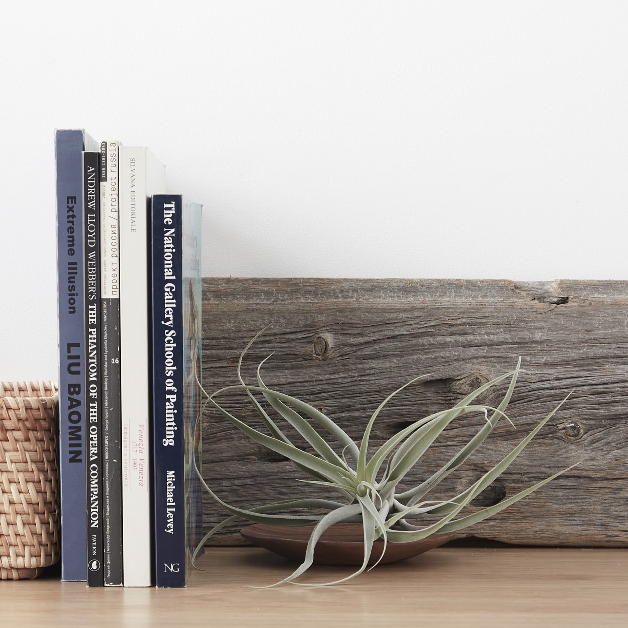 エアプランツ 通販 無印良品