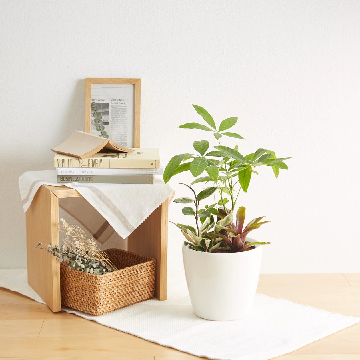 レチューザに植えた観葉植物 通販 無印良品