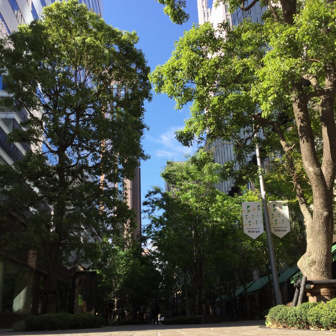 キービジュアル画像：日比谷のおすすめ散歩道