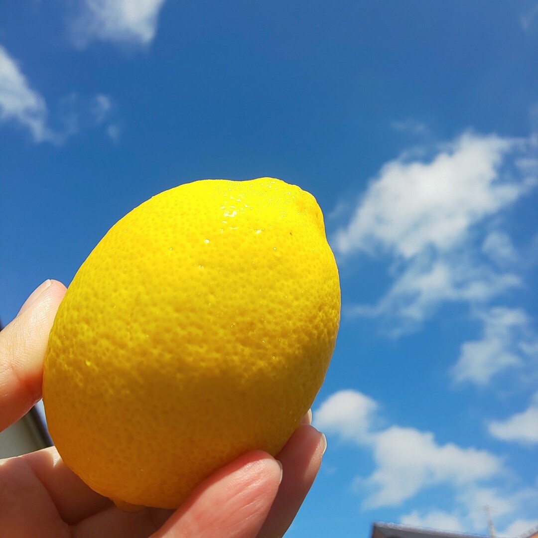 檸檬空