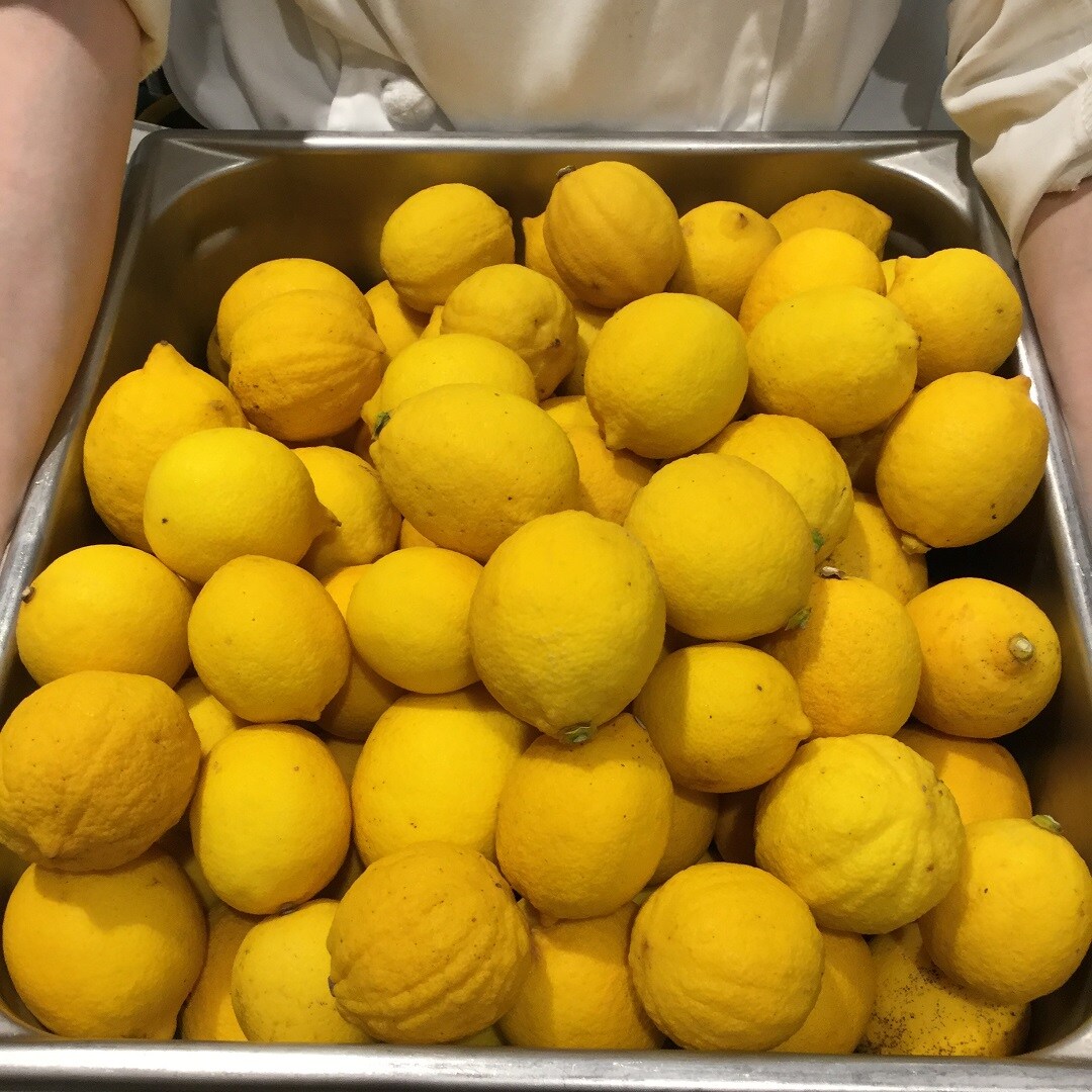 キービジュアル画像：地域のこだわり食材「宝韶寿レモン」のご紹介