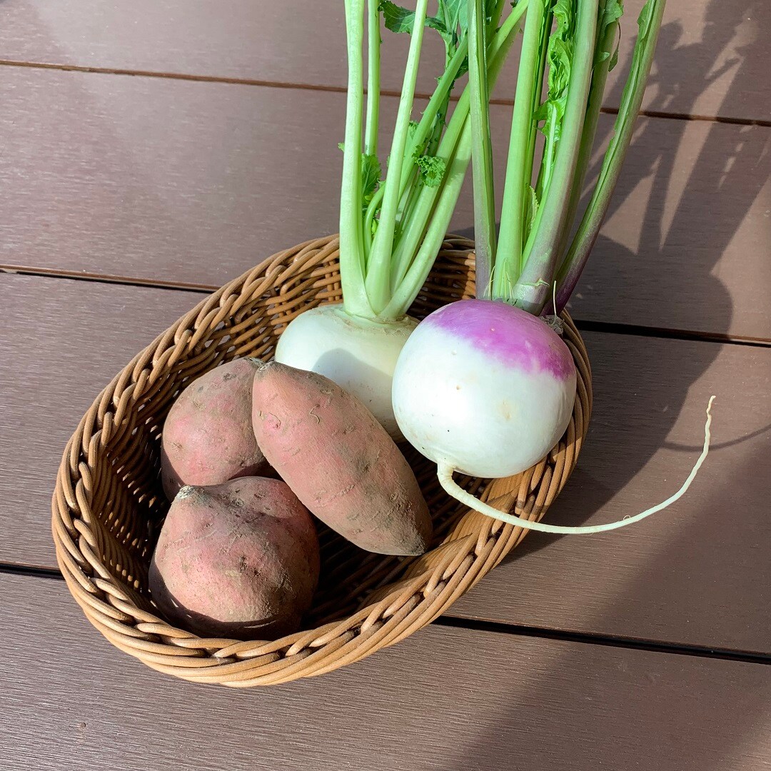 【新宿】旬の野菜入荷しました