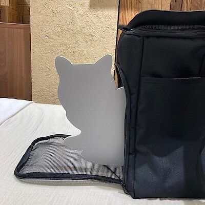 【新宿通り】ペット用品新規商品のご紹介