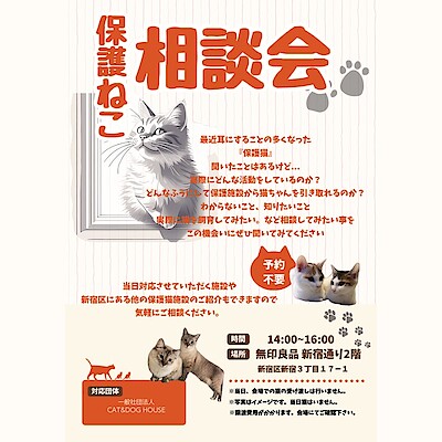 【新宿通り】22日は猫の日　11/22(土) 保護ねこ相談会 開催のお知らせ