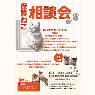 【新宿通り】22日は猫の日　12/21(日) 保護ねこ相談会 開催のお知らせ