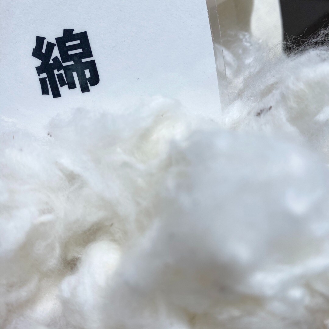 この冬をあたたかく過ごす、綿の秘密