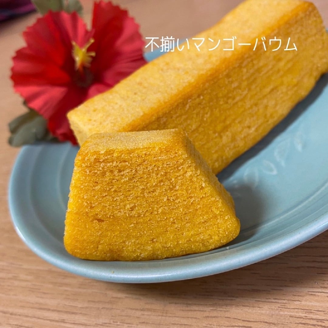 【ビーンズ戸田公園】マンゴーバウムメイン画像