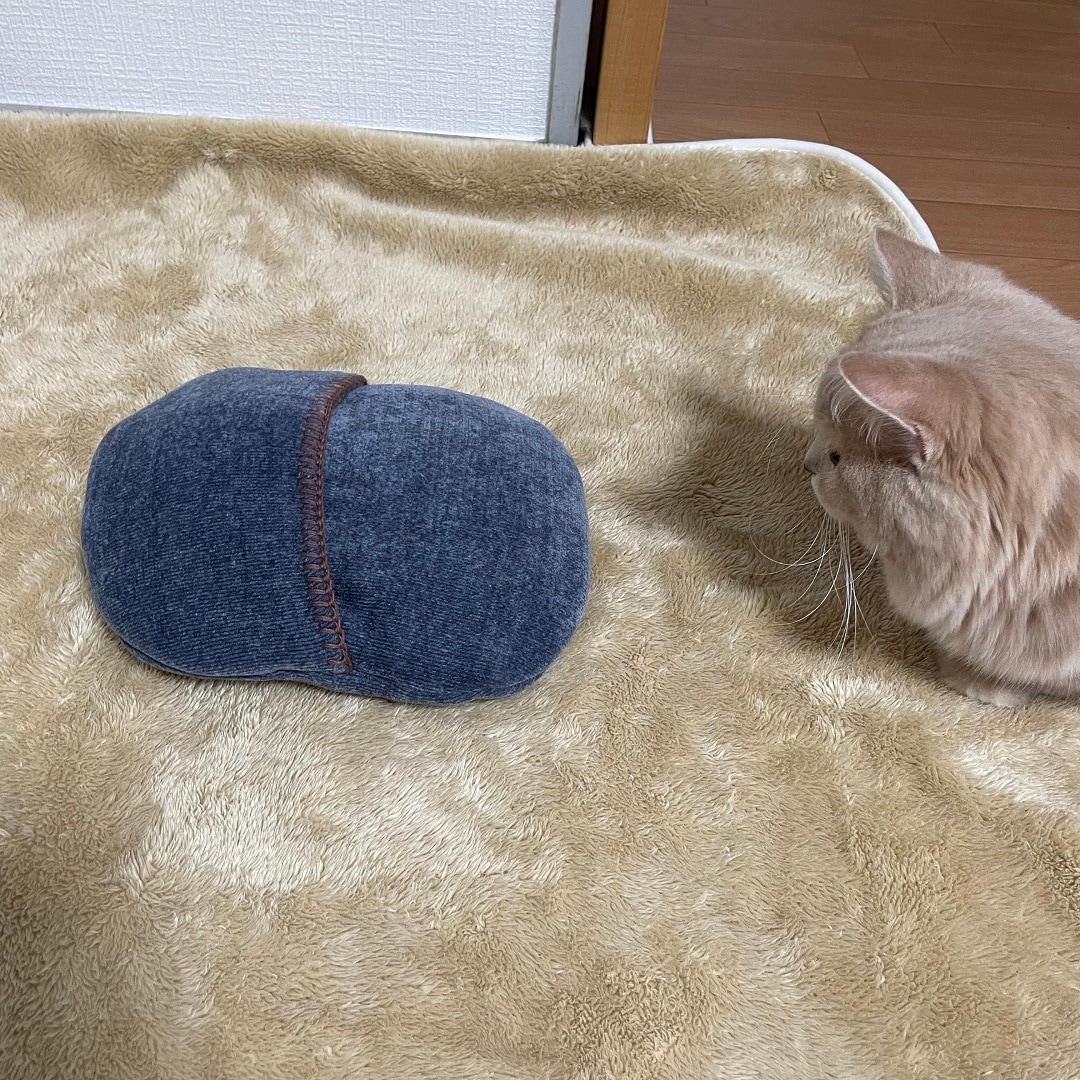 湯たんぽ　トップ