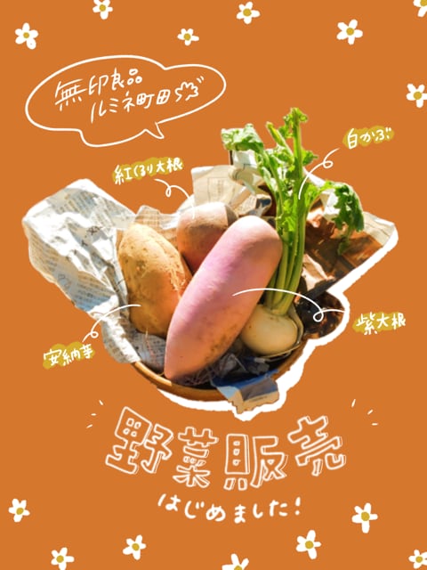 野菜ポスター