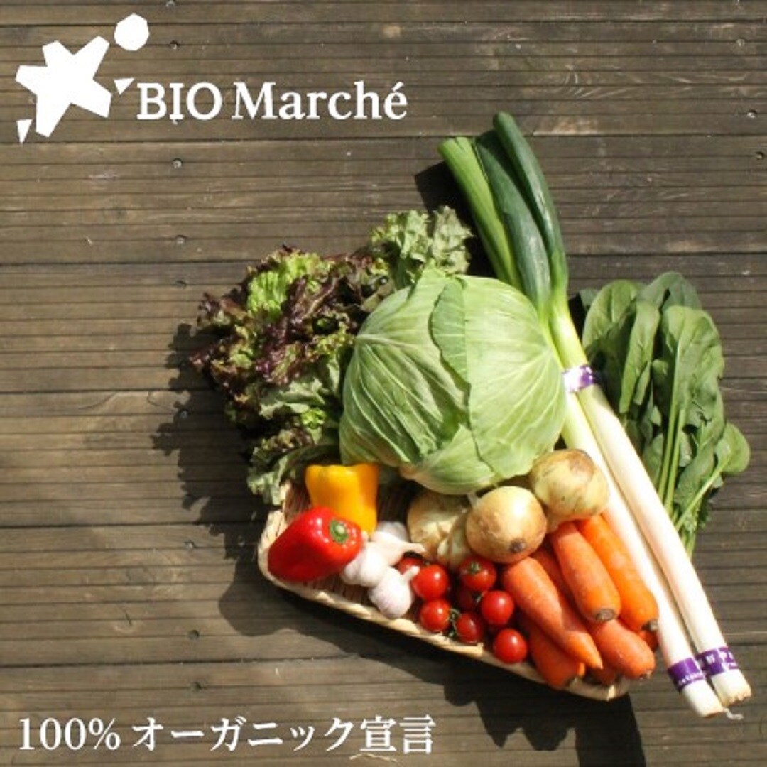 キービジュアル画像：つながる市｜出店紹介その１