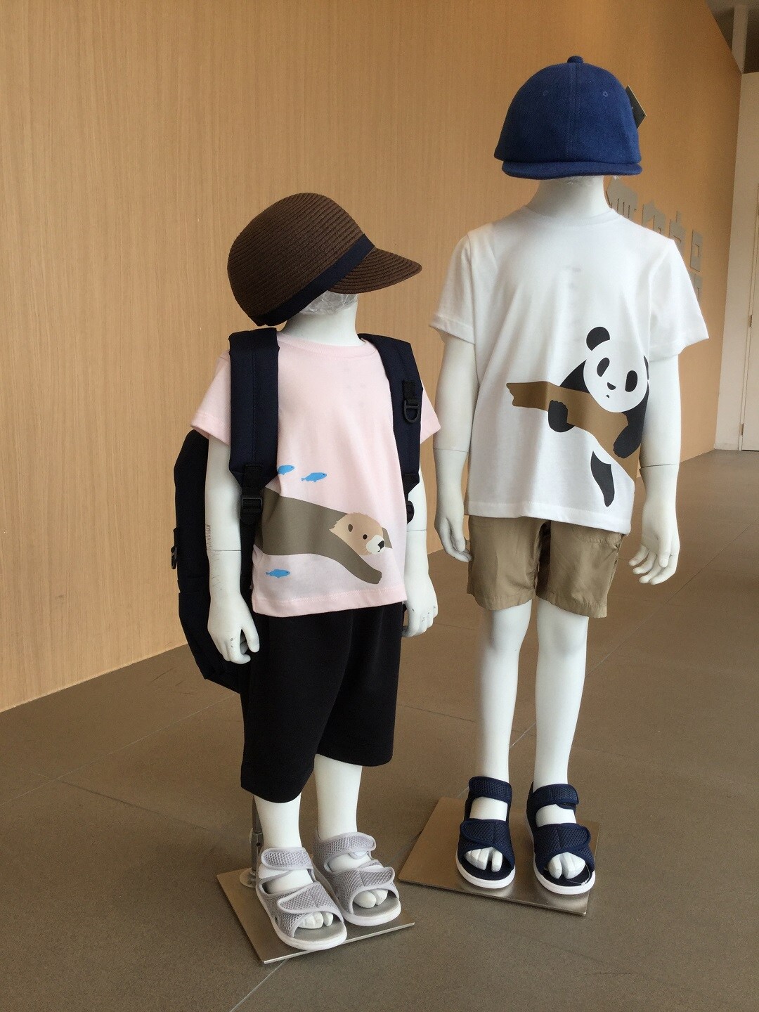 キービジュアル画像：かわいい仲間が集まりました！｜スタッフのおすすめ
