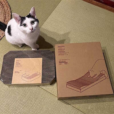 【テラスウォーク一宮】新商品　ダンボール爪とぎベッド／ダンボール爪とぎ