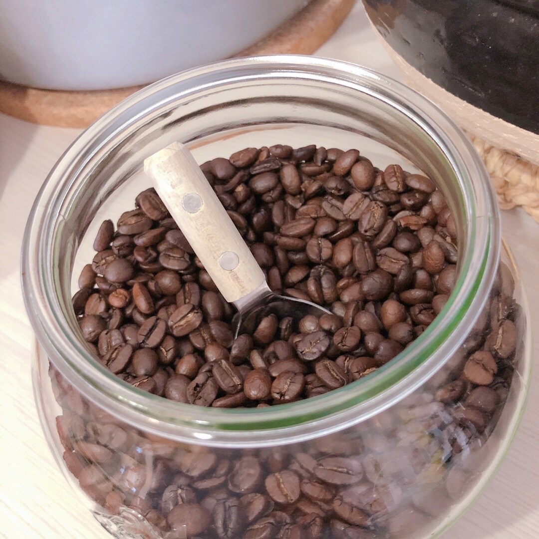 キービジュアル画像：豆から挽けるコーヒーメーカー｜スタッフのおすすめ