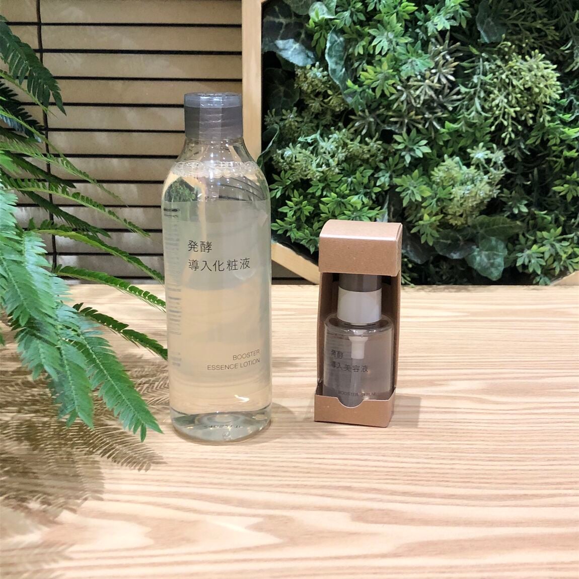 発酵導入