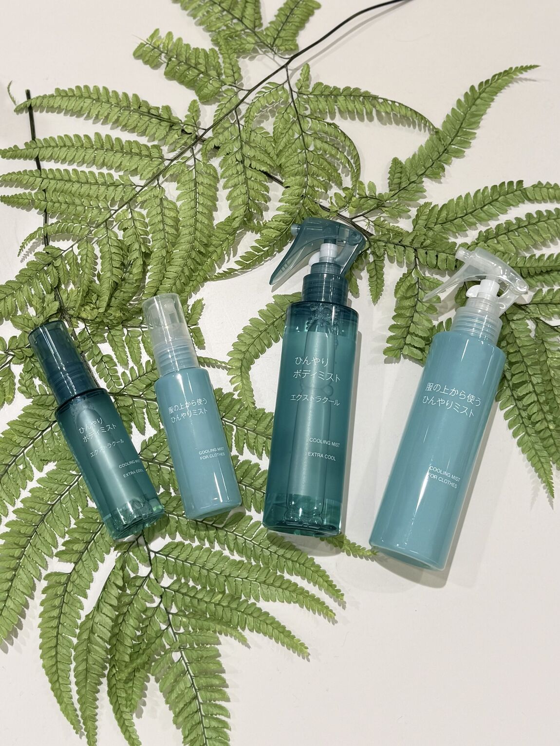 クールシリーズの写真