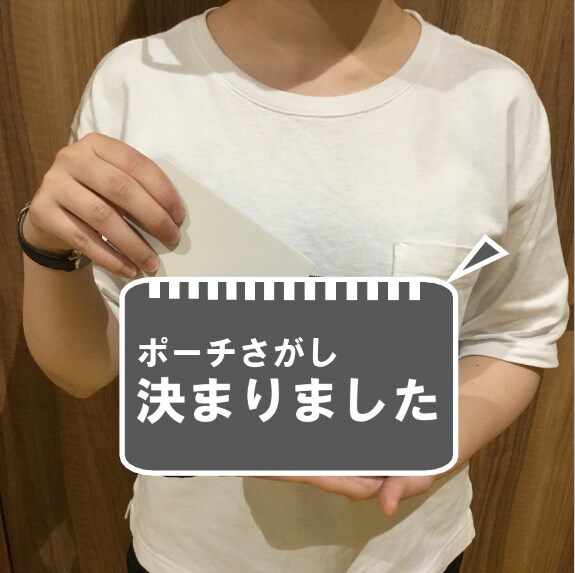 キービジュアル画像：ポーチさがし　決まりました
