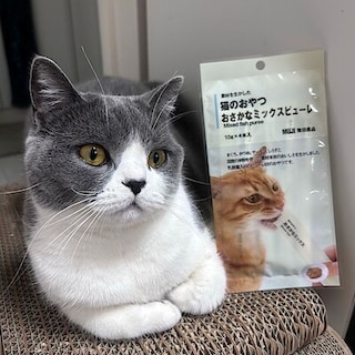 【イオンモール伊丹昆陽】にゃんにゃんにゃんの日に。猫のおやつ