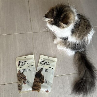 【ヒルズウォーク徳重ガーデンズ】スタッフのおすすめ｜猫のおやつ