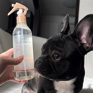 【スタッフのおすすめ】ペットまわりの除菌・消臭スプレー
