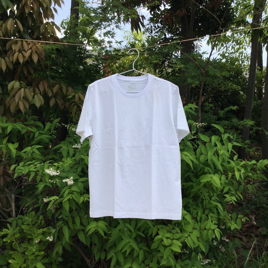 キービジュアル画像：Ｔシャツはじめました。
