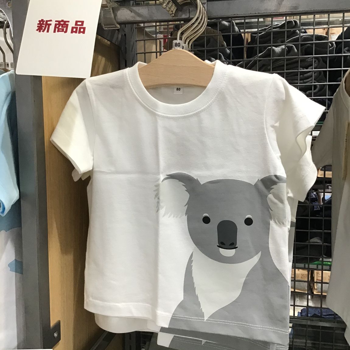 コアラ