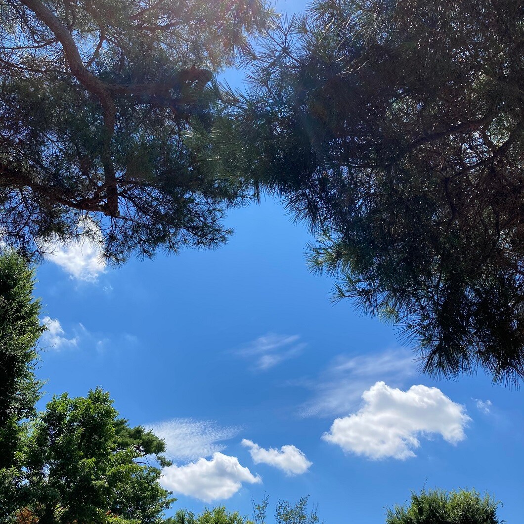 【ららぽーと立川立飛】夏の日焼対策