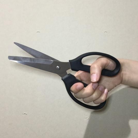 キービジュアル画像：分解して洗えるキッチンばさみ｜スタッフのおすすめ